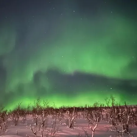 Naert Til Flyplass Naturen Og Sentrum Av Lägenhet Tromsø