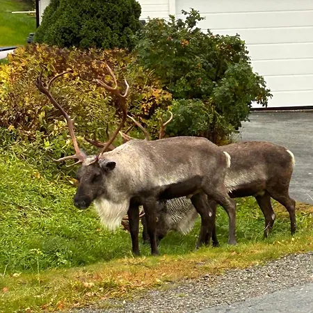 Apartamento Naert Til Flyplass Naturen Og Sentrum Av Tromsø