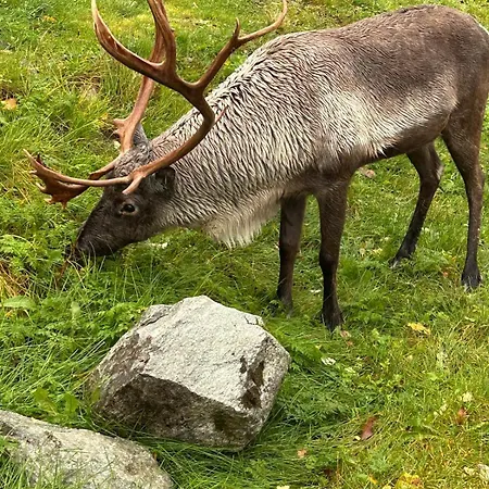 Naert Til Flyplass Naturen Og Sentrum Av Apartamento *