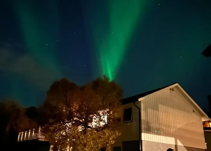 Naert Til Flyplass Naturen Og Sentrum Av Lägenhet
